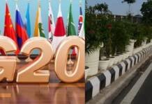 चोरी हुए G20 सम्मेलन के दौरान दिल्ली में लगे लाखों गमले! चोरी हुए G20 सम्मेलन के दौरान दिल्ली में लगे लाखों गमले!