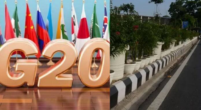 चोरी हुए G20 सम्मेलन के दौरान दिल्ली में लगे लाखों गमले!