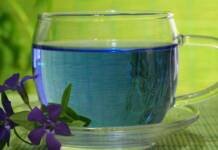 बटरफ्लाई फ्लावर से बनी ये चाय स्किन के लिए होती है फायदेमंद! बटरफ्लाई फ्लावर से बनी ये चाय स्किन के लिए होती है फायदेमंद!