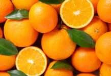काफी फायदेमंद होता है संतरा, सर्दियों में खाना होता है अच्छा काफी फायदेमंद होता है संतरा, सर्दियों में खाना होता है अच्छा