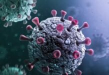 कोरोना की नई लहर: भारत में चार नए वैरिएंट्स की पहचान, मौतों में वृद्धि कोरोना की नई लहर: भारत में चार नए वैरिएंट्स की पहचान, मौतों में वृद्धि