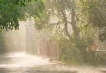 मुंबई में भारी बारिश: IMD ने जारी किया येलो अलर्ट मुंबई में भारी बारिश: IMD ने जारी किया येलो अलर्ट