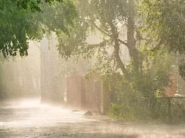 मुंबई में भारी बारिश: IMD ने जारी किया येलो अलर्ट मुंबई में भारी बारिश: IMD ने जारी किया येलो अलर्ट