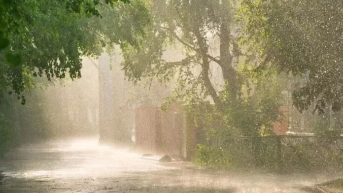 मुंबई में भारी बारिश: IMD ने जारी किया येलो अलर्ट