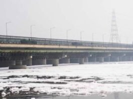 Delhi News: 20 साल का विजन: यमुना की सफाई के लिए केंद्र सरकार का मास्टर प्लान Delhi News: 20 साल का विजन: यमुना की सफाई के लिए केंद्र सरकार का मास्टर प्लान