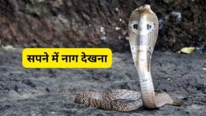 सपने में नाग देखना