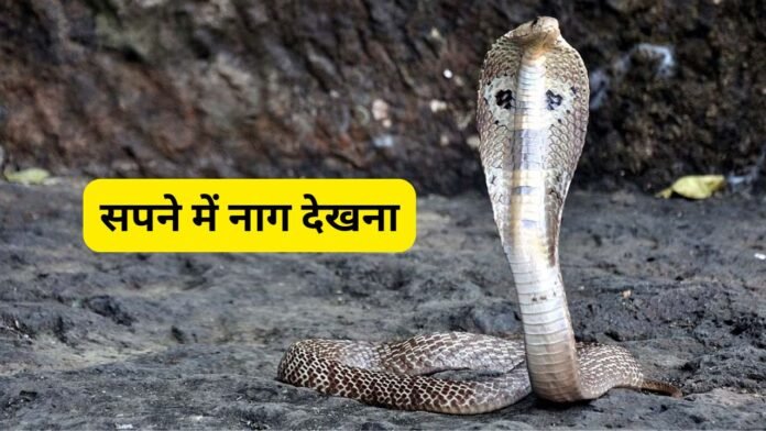 सपने में नाग देखना