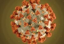 भारत में कोरोना के सक्रिय मामले 3,758 तक पहुँचा, 24 घंटे में 2 लोगों की मौत भारत में कोरोना