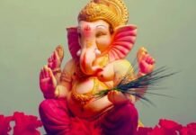 गणेश चतुर्थी पर बरतें विशेष सावधानियां, भूलकर भी बप्पा को ना चढ़ाएं ये 7 चीजें गणेश चतुर्थी