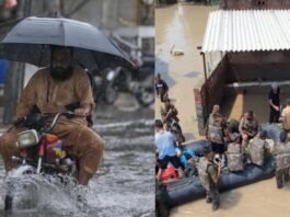 पंजाब में बाढ़ से मचा हाहाकार, 48 की मौत, डेंगू-हैजा जैसी बीमारियां फैलने का खतरा बढ़ा पंजाब में बाढ़ से मचा हाहाकार, 48 की मौत