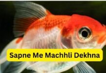 Sapne Me Machhli Dekhna: सपने में मछली दिखने का क्या मतलब होता है? Sapne Me Machhli Dekhna