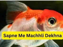 Sapne Me Machhli Dekhna: सपने में मछली दिखने का क्या मतलब होता है? Sapne Me Machhli Dekhna
