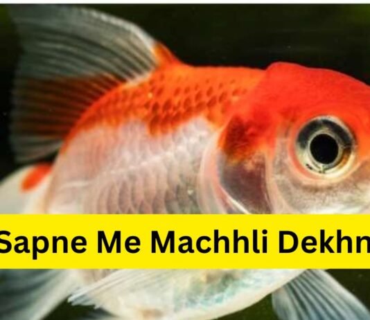 Sapne Me Machhli Dekhna: सपने में मछली दिखने का क्या मतलब होता है? Sapne Me Machhli Dekhna