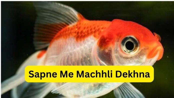 Sapne Me Machhli Dekhna
