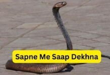 Sapne Me Saap Dekhna: जानें इसका असली मतलब और शुभ-अशुभ संकेत Sapne Me Saap Dekhna