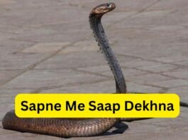 Sapne Me Saap Dekhna: जानें इसका असली मतलब और शुभ-अशुभ संकेत Sapne Me Saap Dekhna