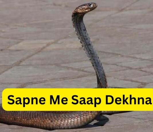 Sapne Me Saap Dekhna: जानें इसका असली मतलब और शुभ-अशुभ संकेत Sapne Me Saap Dekhna