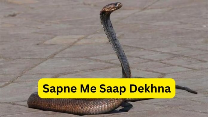 Sapne Me Saap Dekhna