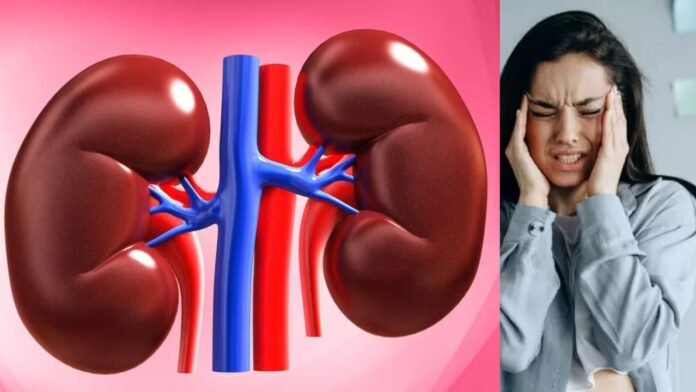 स्ट्रेस से किडनी पर पड़ता है गहरा असर
